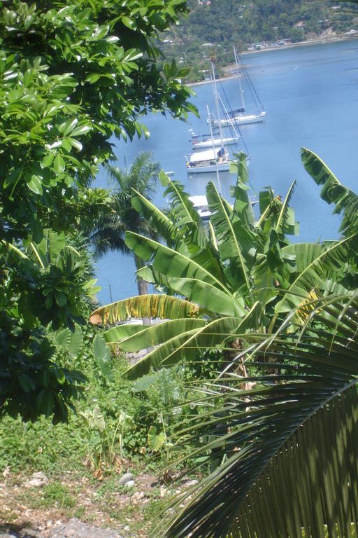 Finjam Cottage Port Antonio Exterior photo